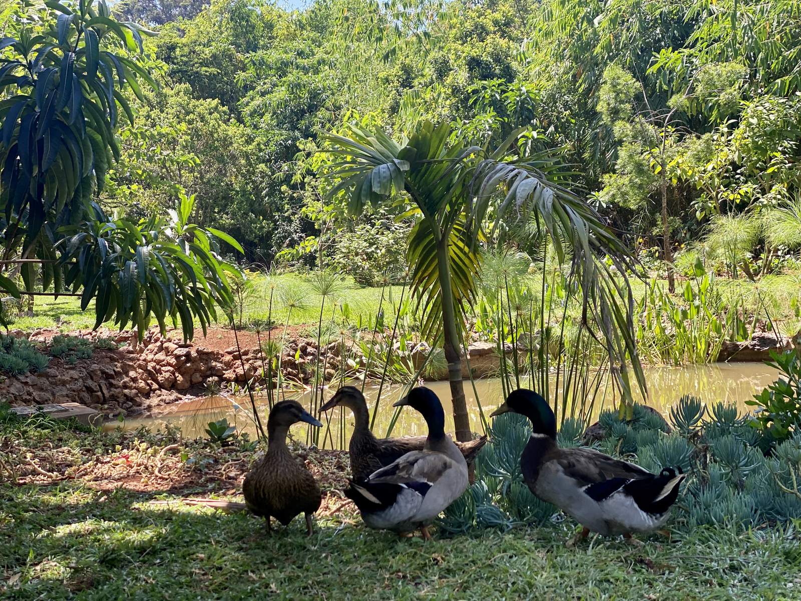 Maarifa Park - Gallery 12